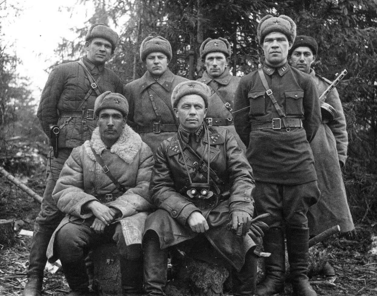 354 Стрелковая дивизия (командир полковник д.ф. Алексеев