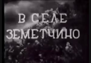 В кинохронике 30-х годов ХХ века отлично виден женский костюм села Ушинка Земетчинского района, парочка