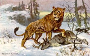 Пещерный лев — грозный хищник плейстоцена