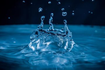Ежегодно 22 марта во многих странах мира отмечается Всемирный день водных ресурсов, или Всемирный день воды, который утвержден Генеральной Ассамблеей ООН в 1993 году