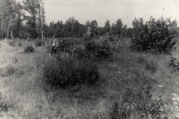 Археологическая карта Пензенской области. Насыпи Армиевского курганно-грунтового могильника