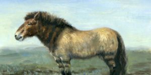 Древние лошади – животные ледникового периода